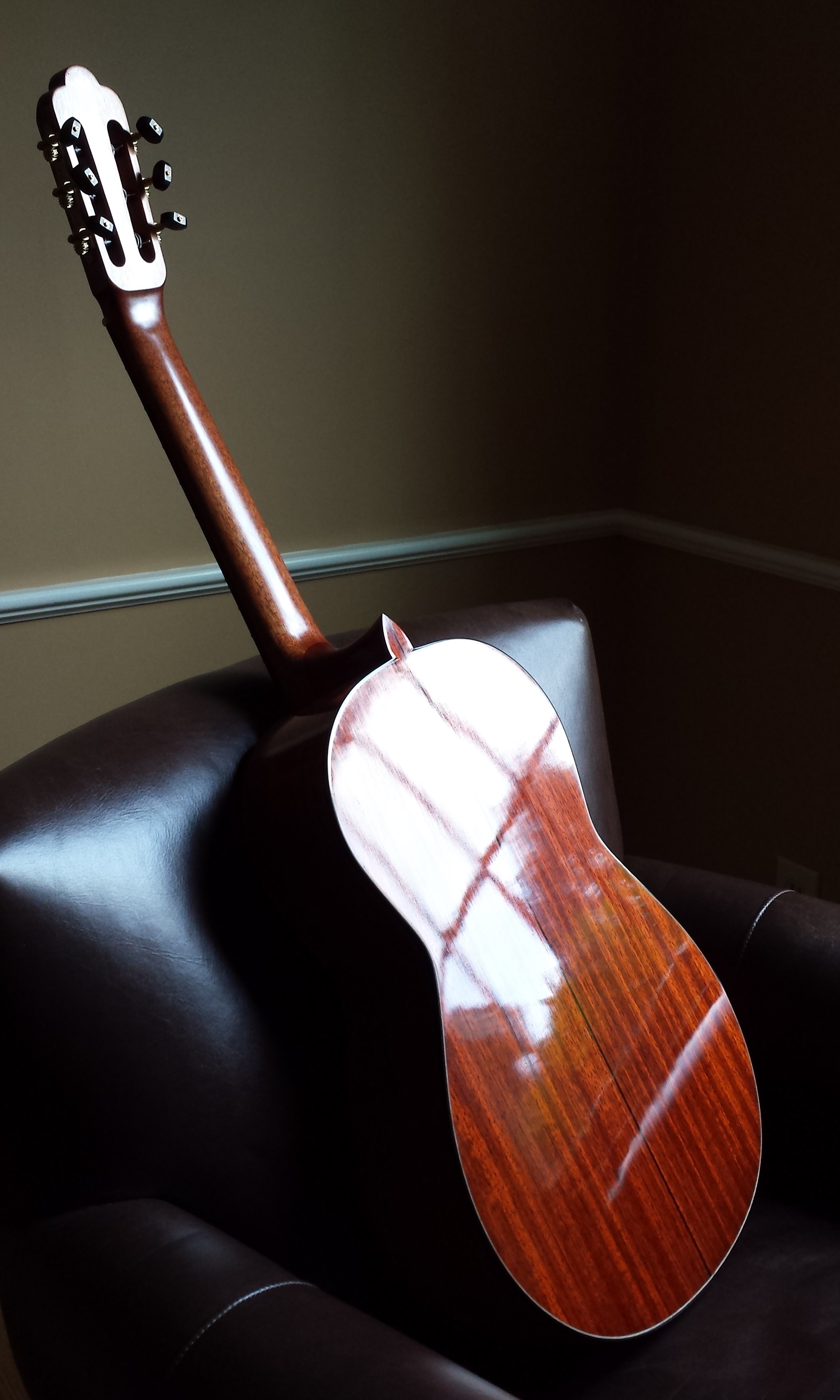 French Polish Padauk