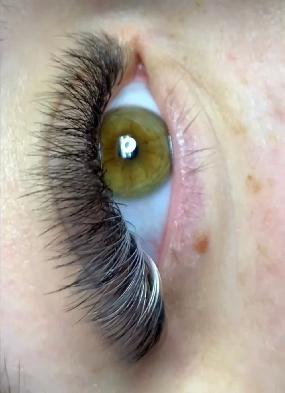 Brows, Eyelashes & After Care — Shine Salon & Spa