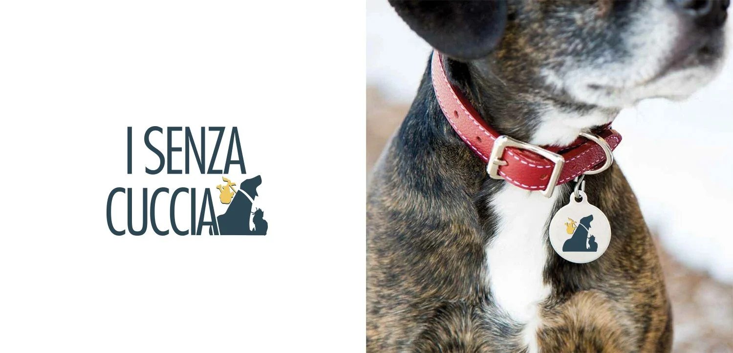  Brand identity, print collateral and website design for an animal rescue charity. 