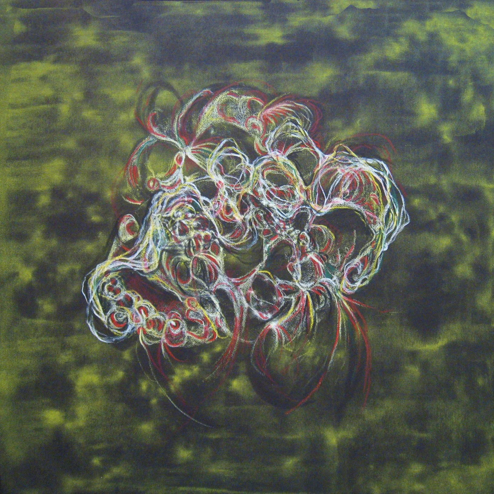 ss delicate operation (12x12) 2009.JPG