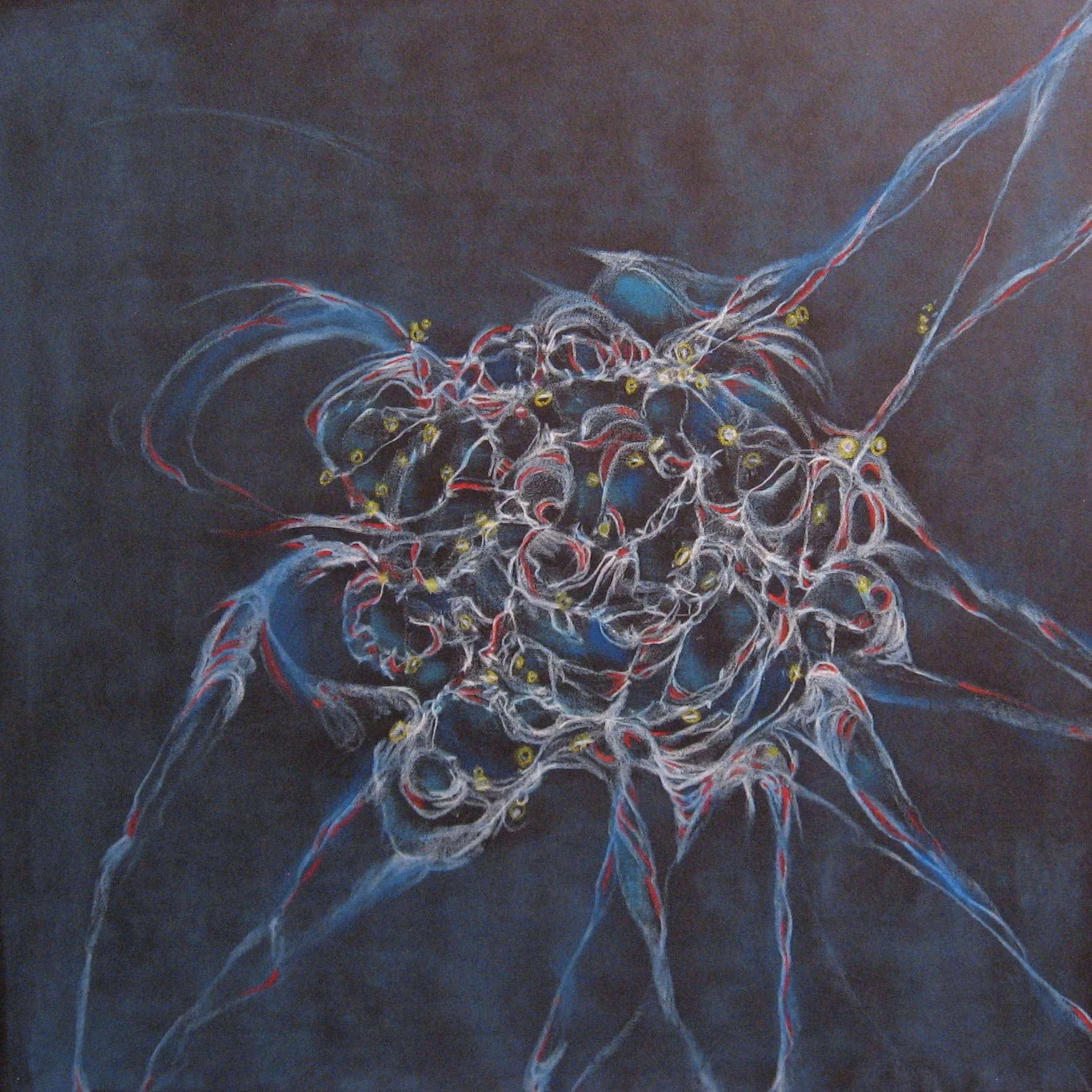 ss shared affinity (12x12) 2009.JPG