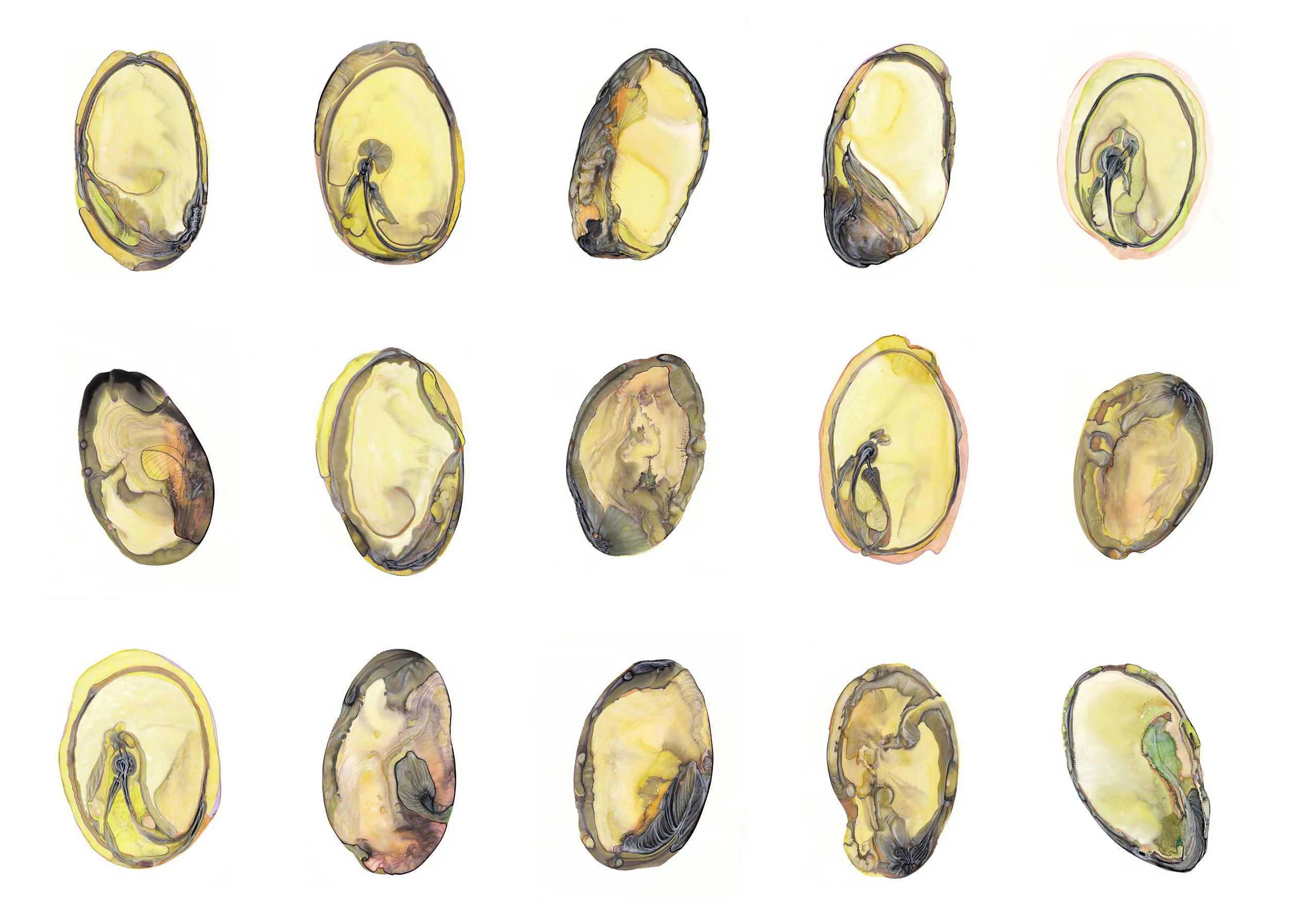 white grid of seeds.jpg