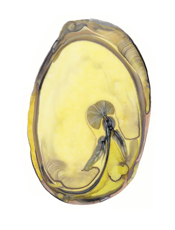 small sequence 2_3.jpg