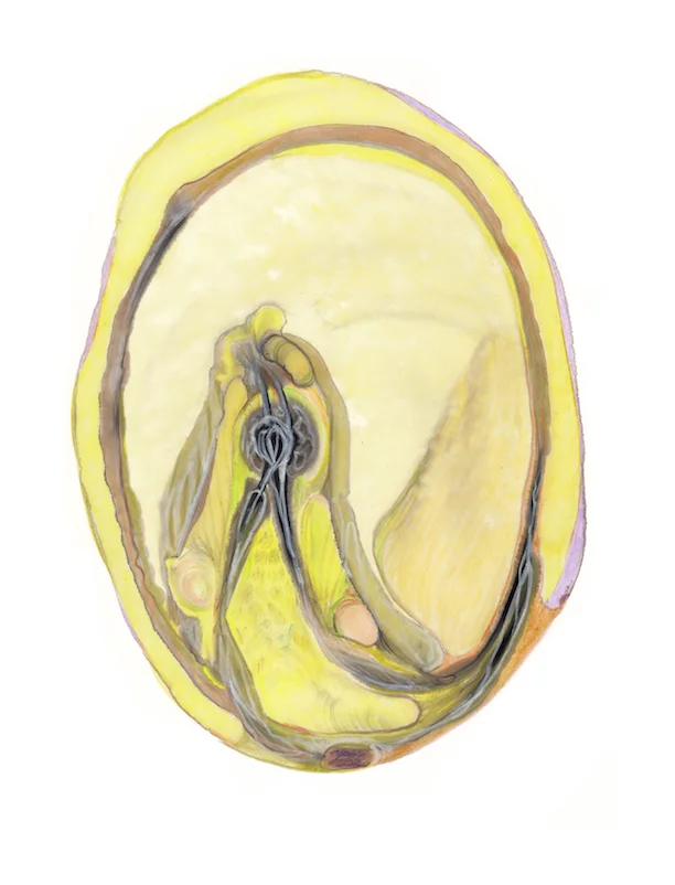 small sequence 2_4.jpg