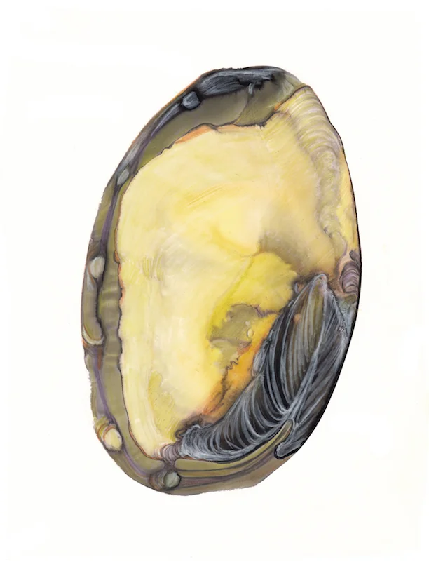 small sequence 3_2.jpg