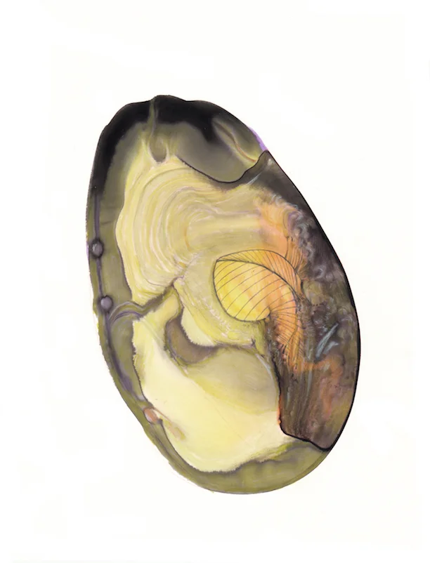 small sequence 4_1.jpg