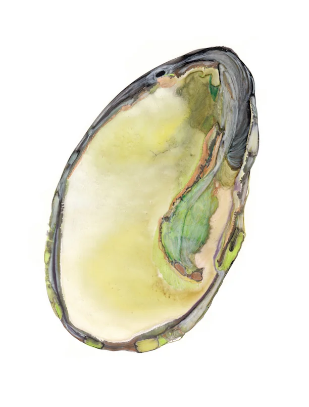 small sequence 6_1.jpg