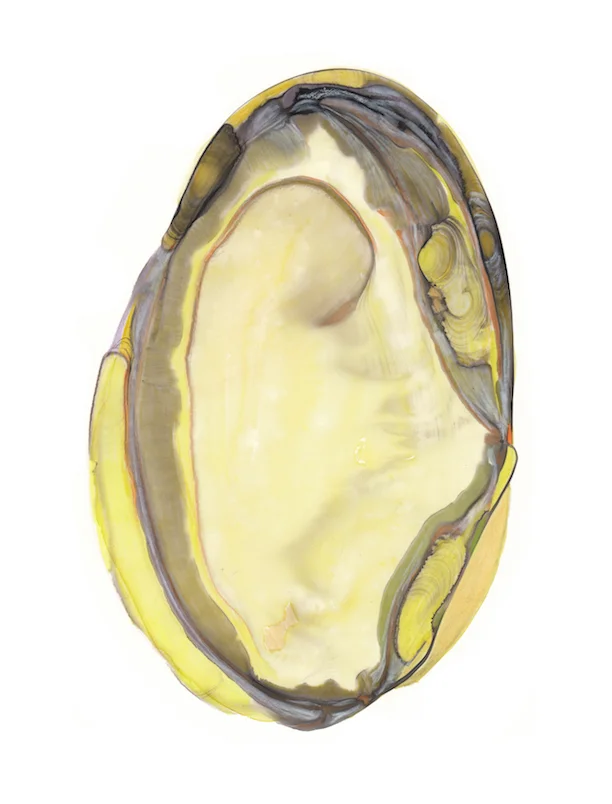 small sequence 1_2.jpg