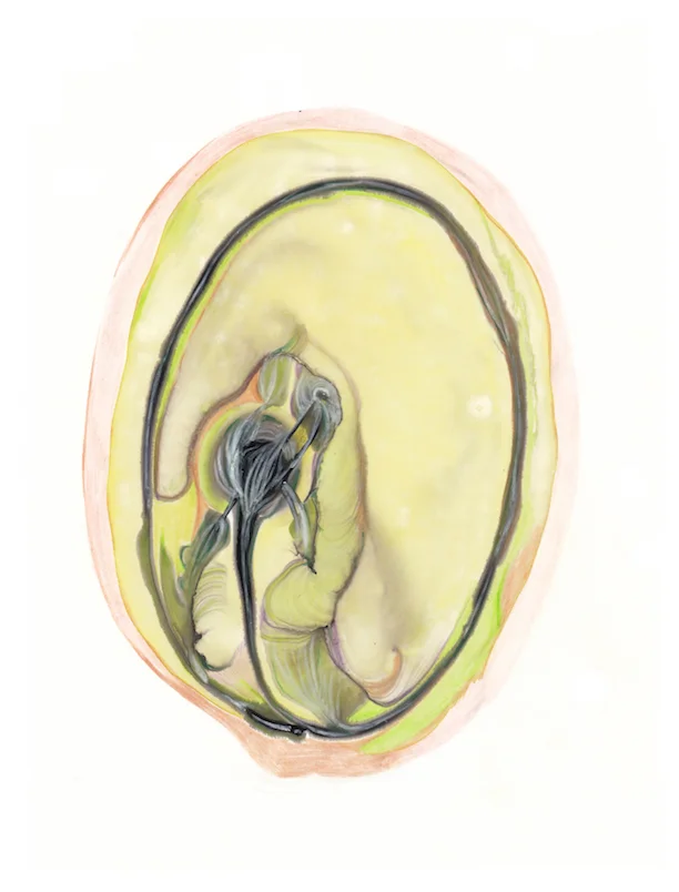 small sequence 2_1.jpg