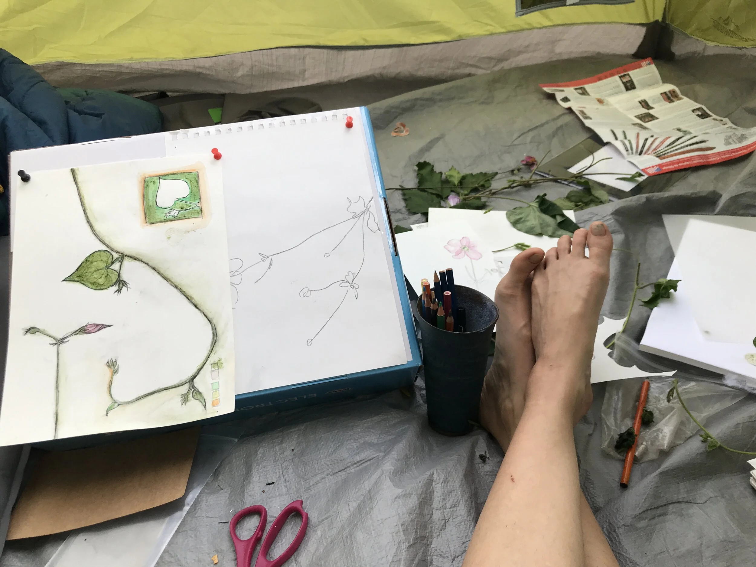 Erika J - FFB1D195-5734-4759-90EC-E505C5B14A83.jpeg