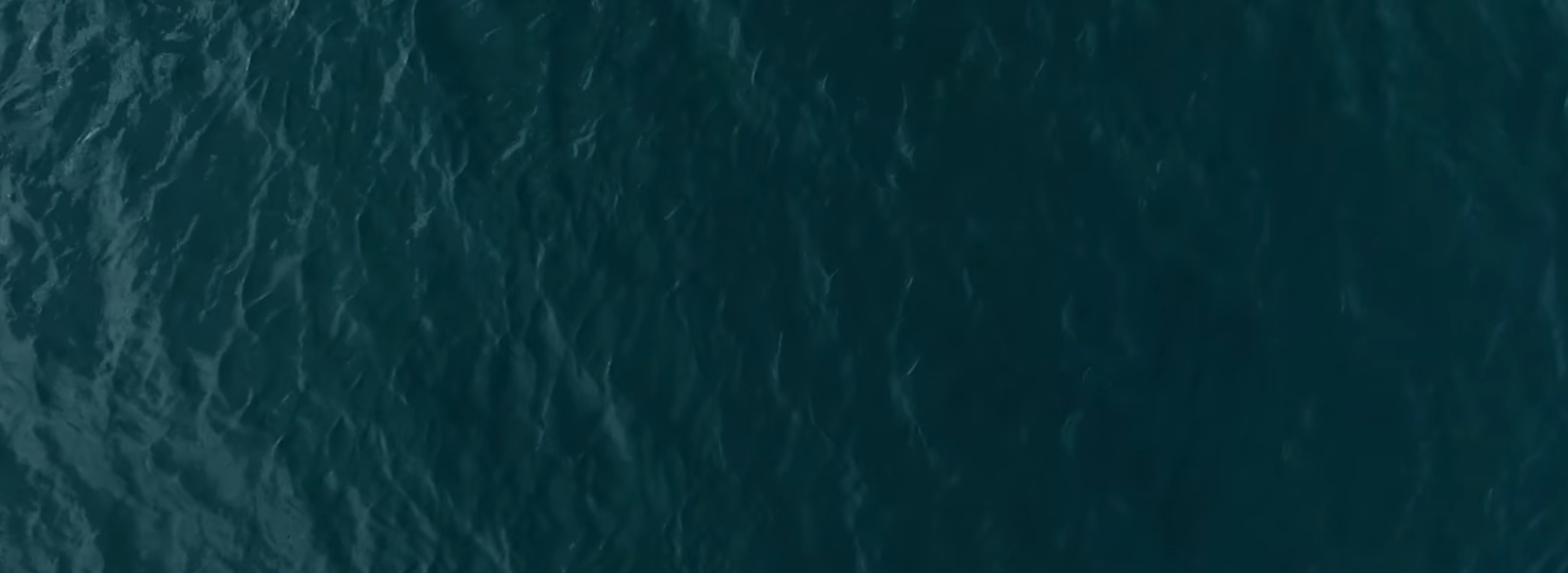 Screen Shot 2017-02-09 at 4.57.28 PM.png