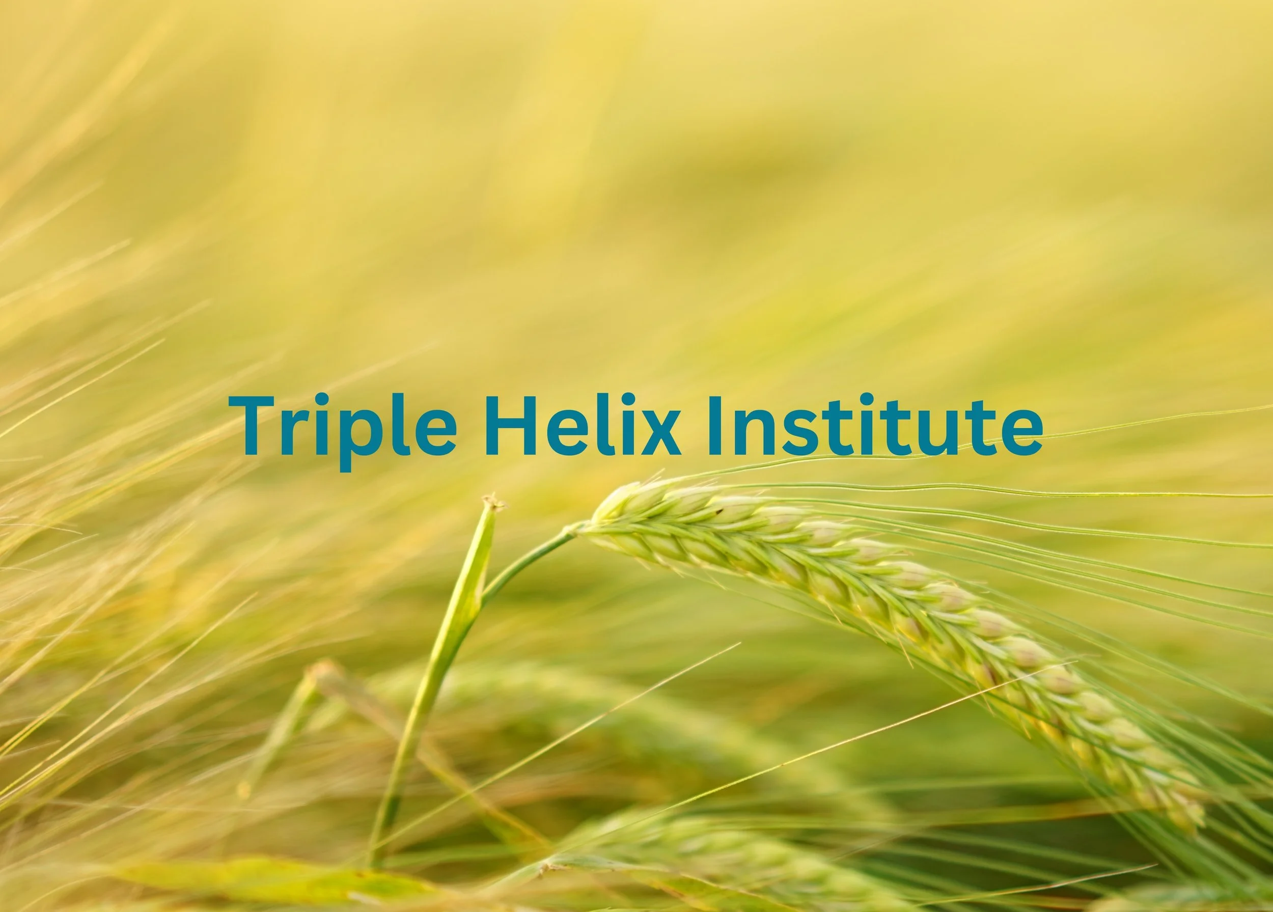 Triple Helix Institute: Building Awareness About the Scope and Impact of Agricultural Technology