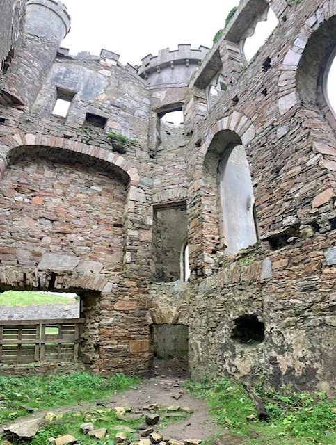 Clifden Castle ruins inside.