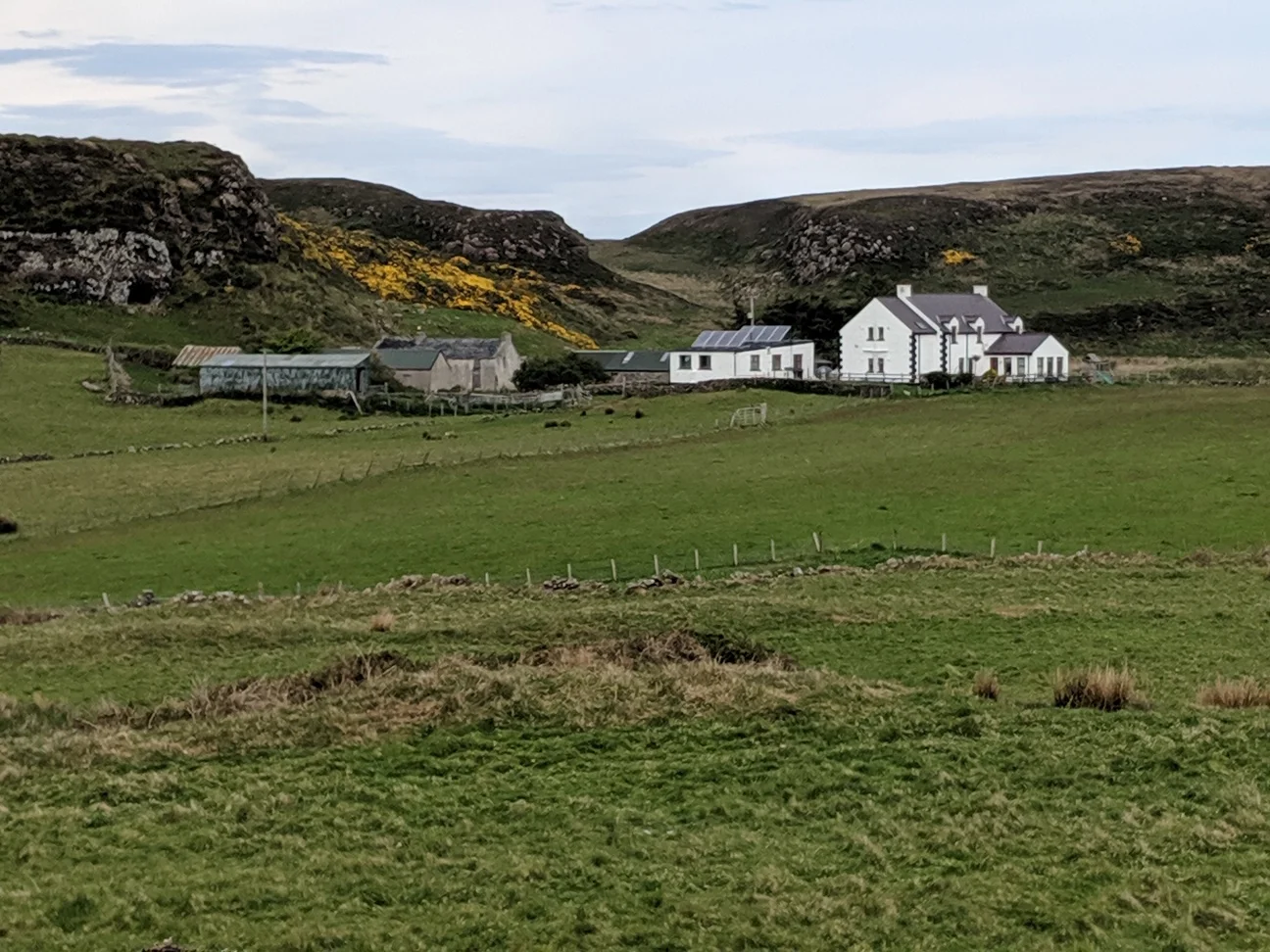 Typical pastoral scene. Gorse on the hillside.