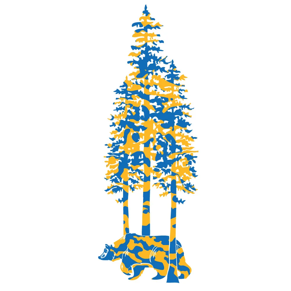 Walking-Bear-Blue-Gold.jpg