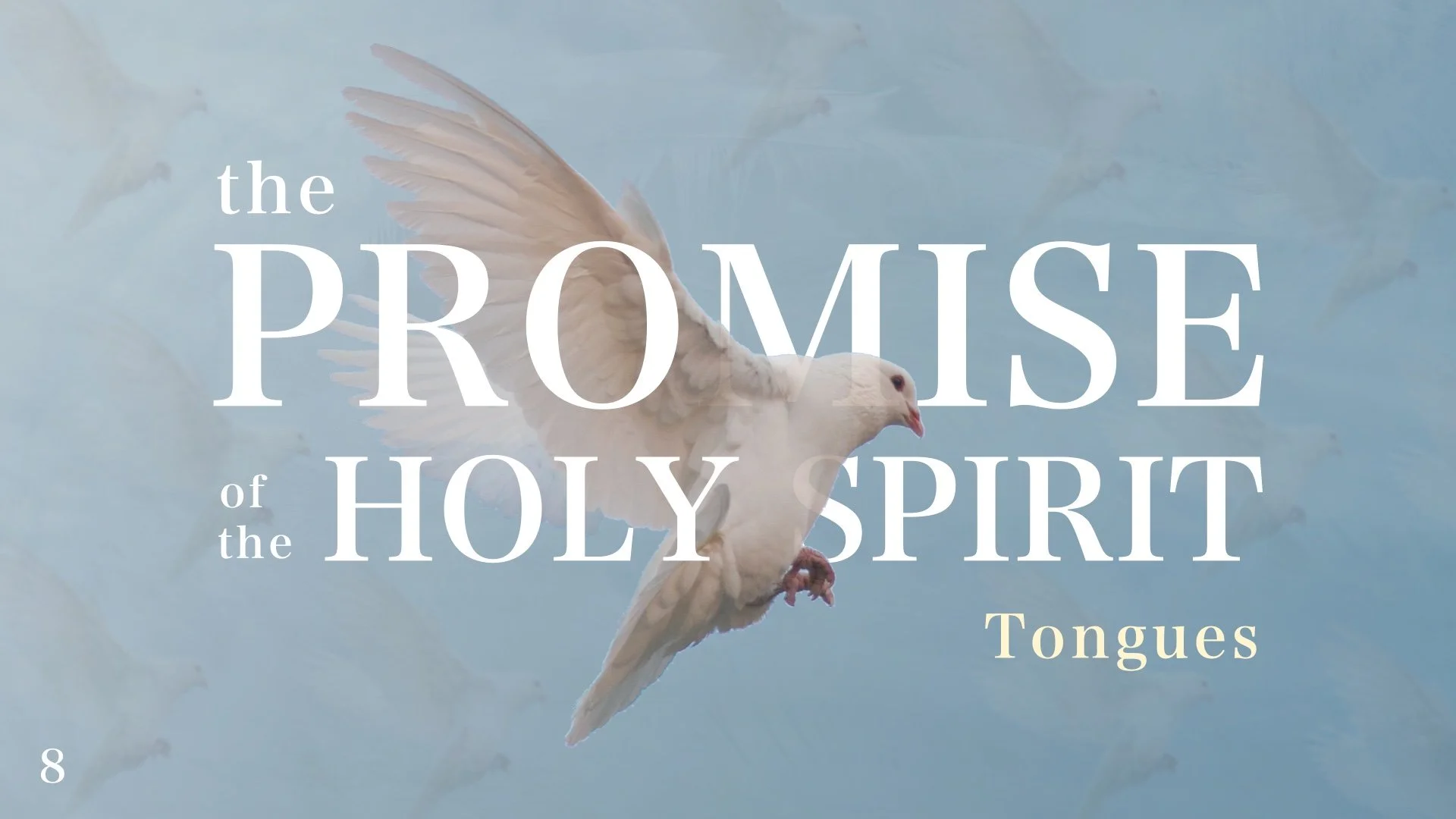 The Promise of the Holy Spirit: Tongues - Part 8
