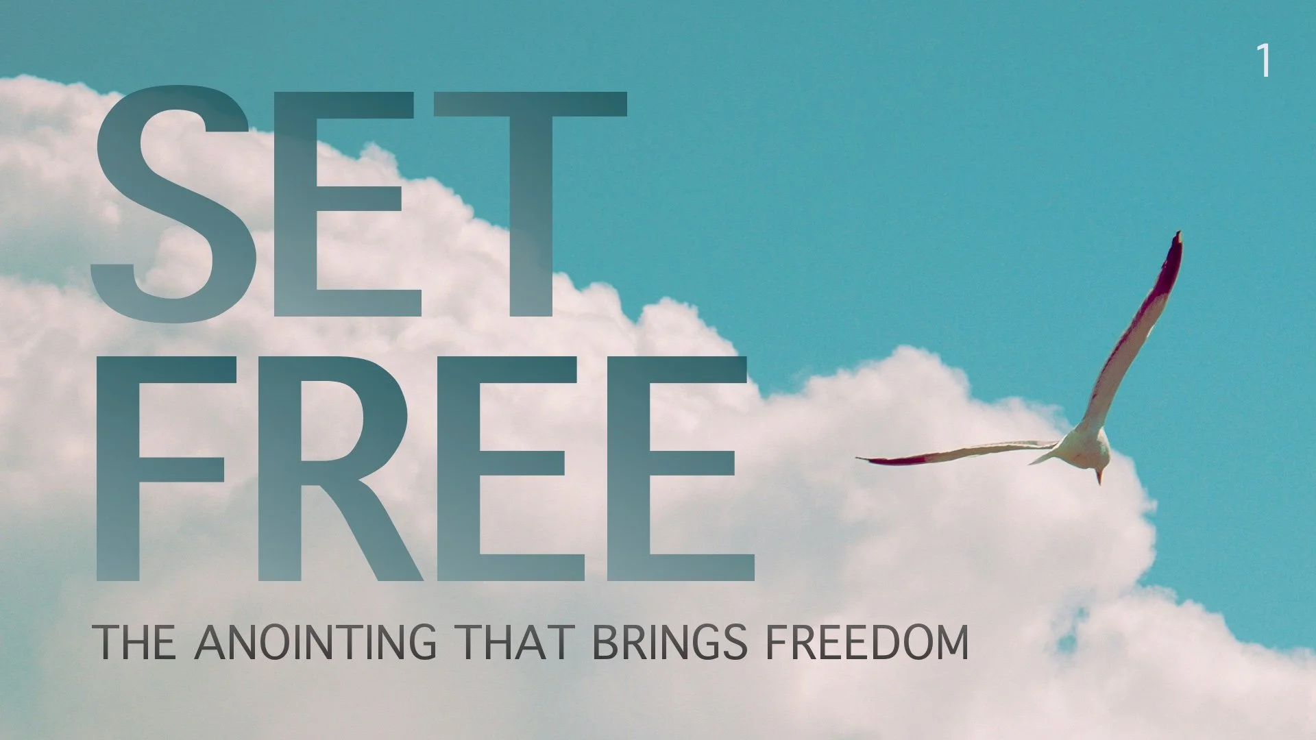 Set Free: The Anointing That Brings Freedom - Part One