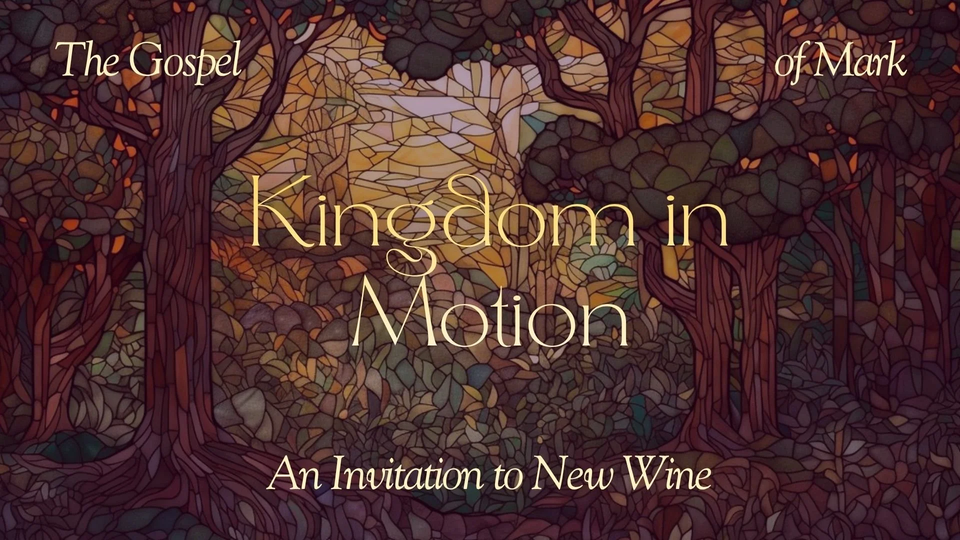 Kingdom in Motion | An Invitation to New Wine - Joey Schwartz