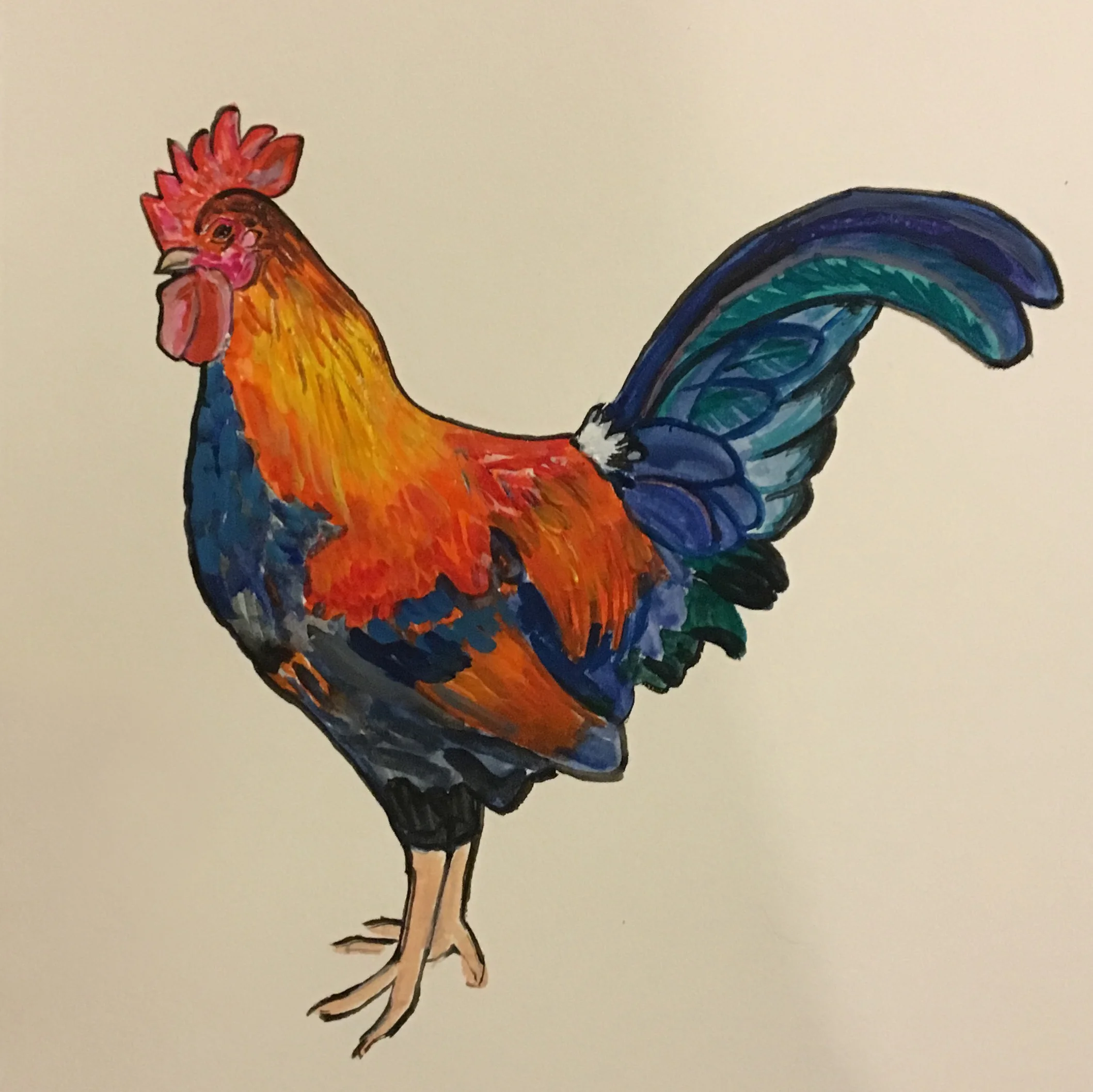 Rooster