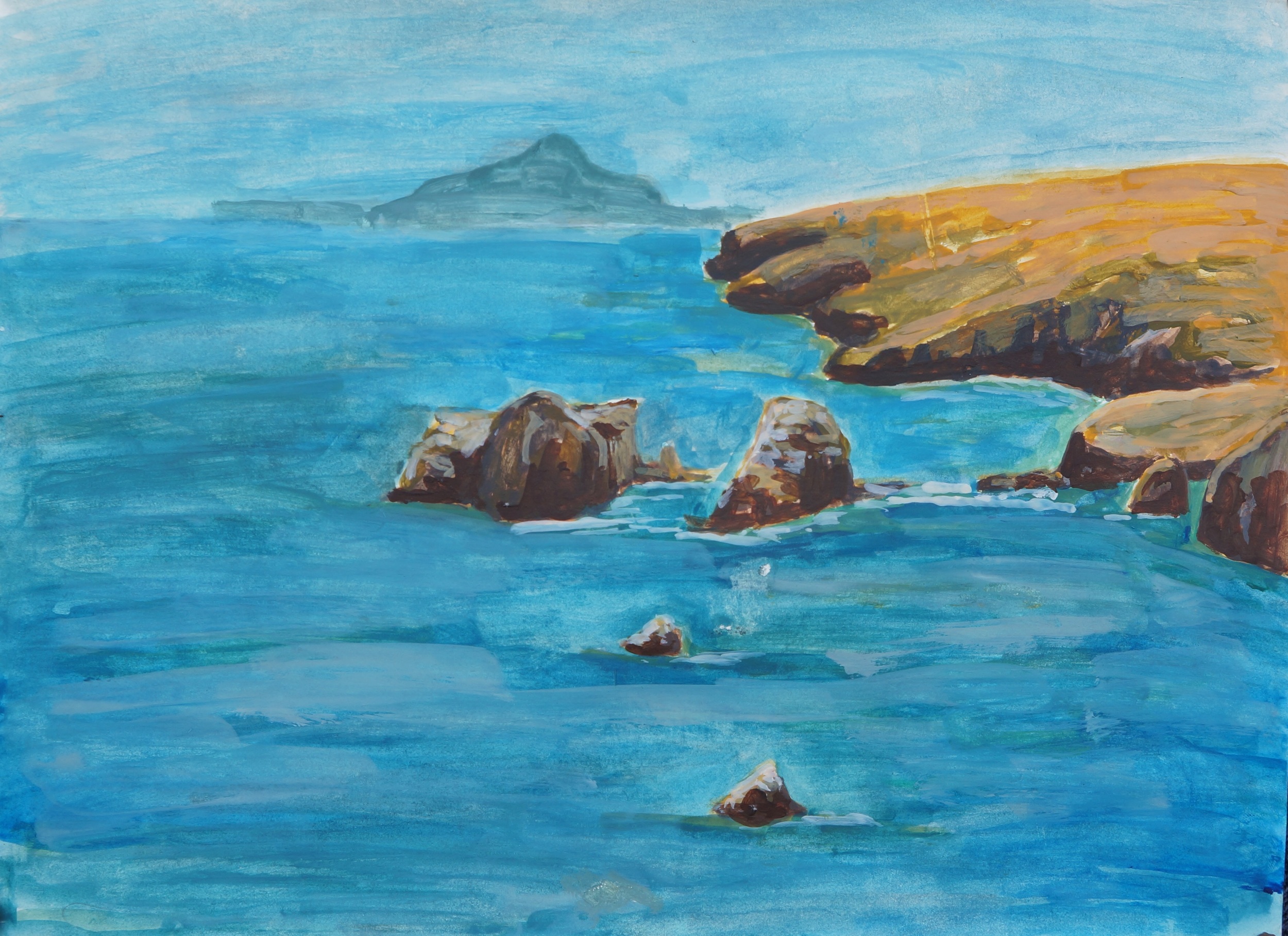 Channel Islands Shore