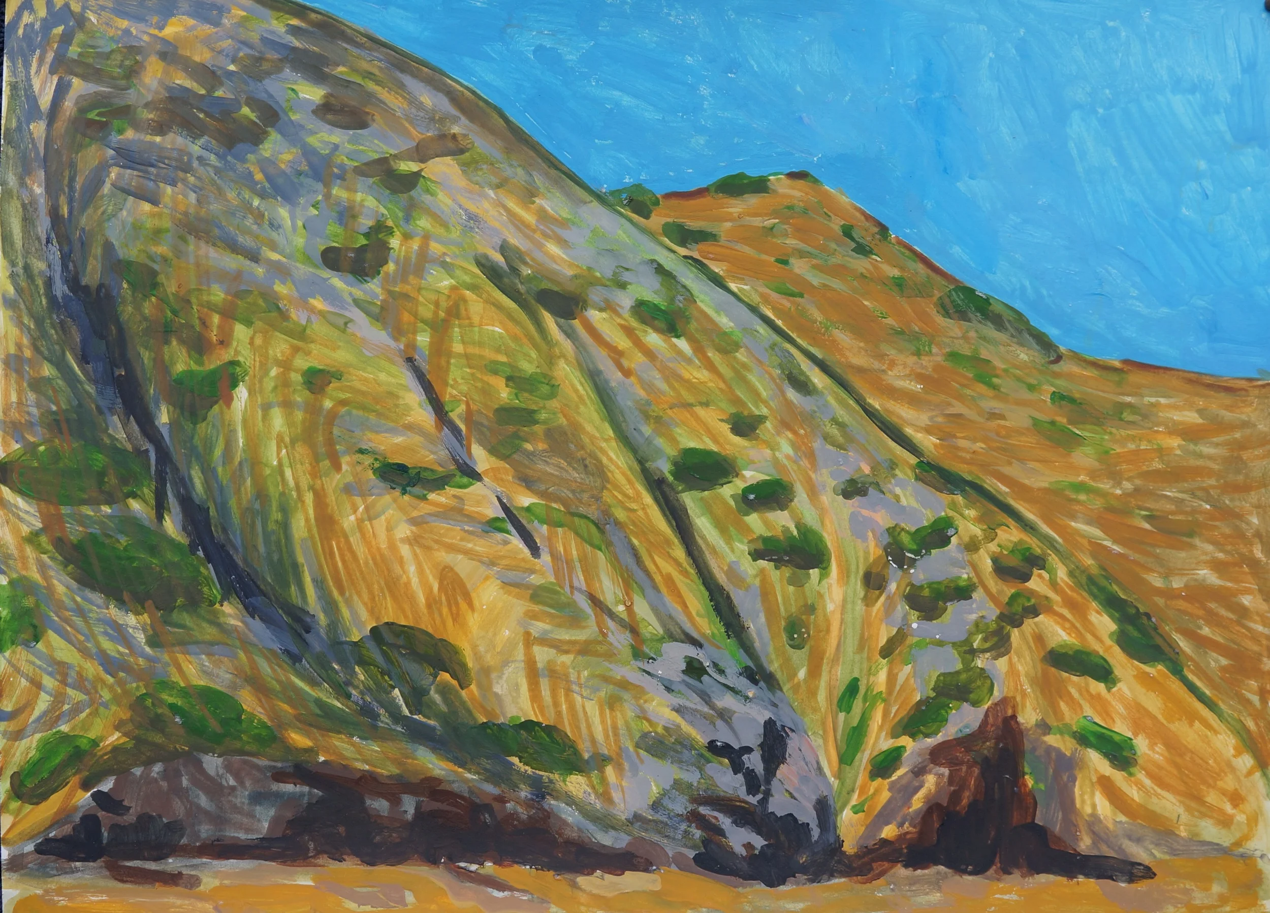 Channel Islands Landscape