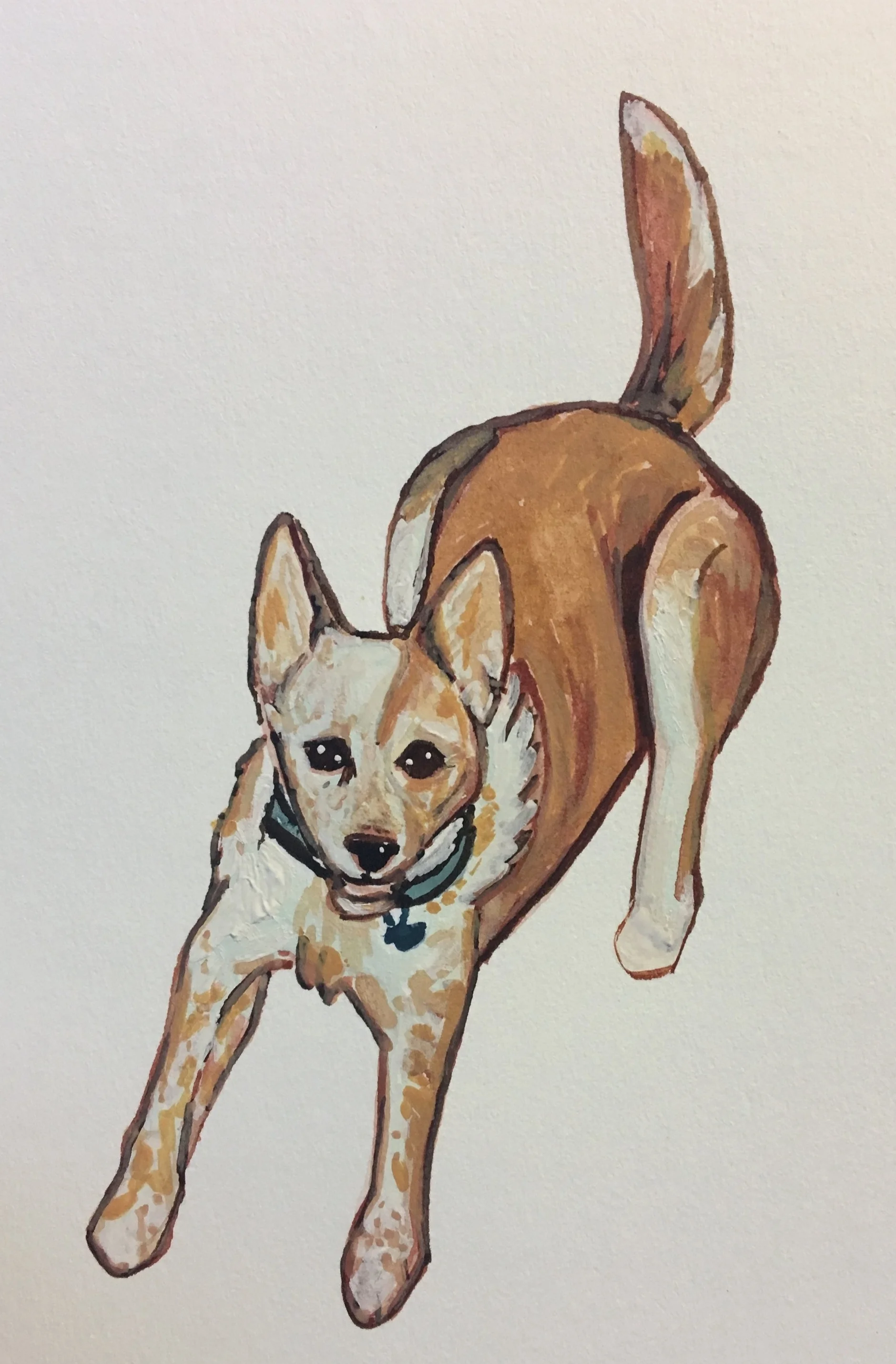 Beau 