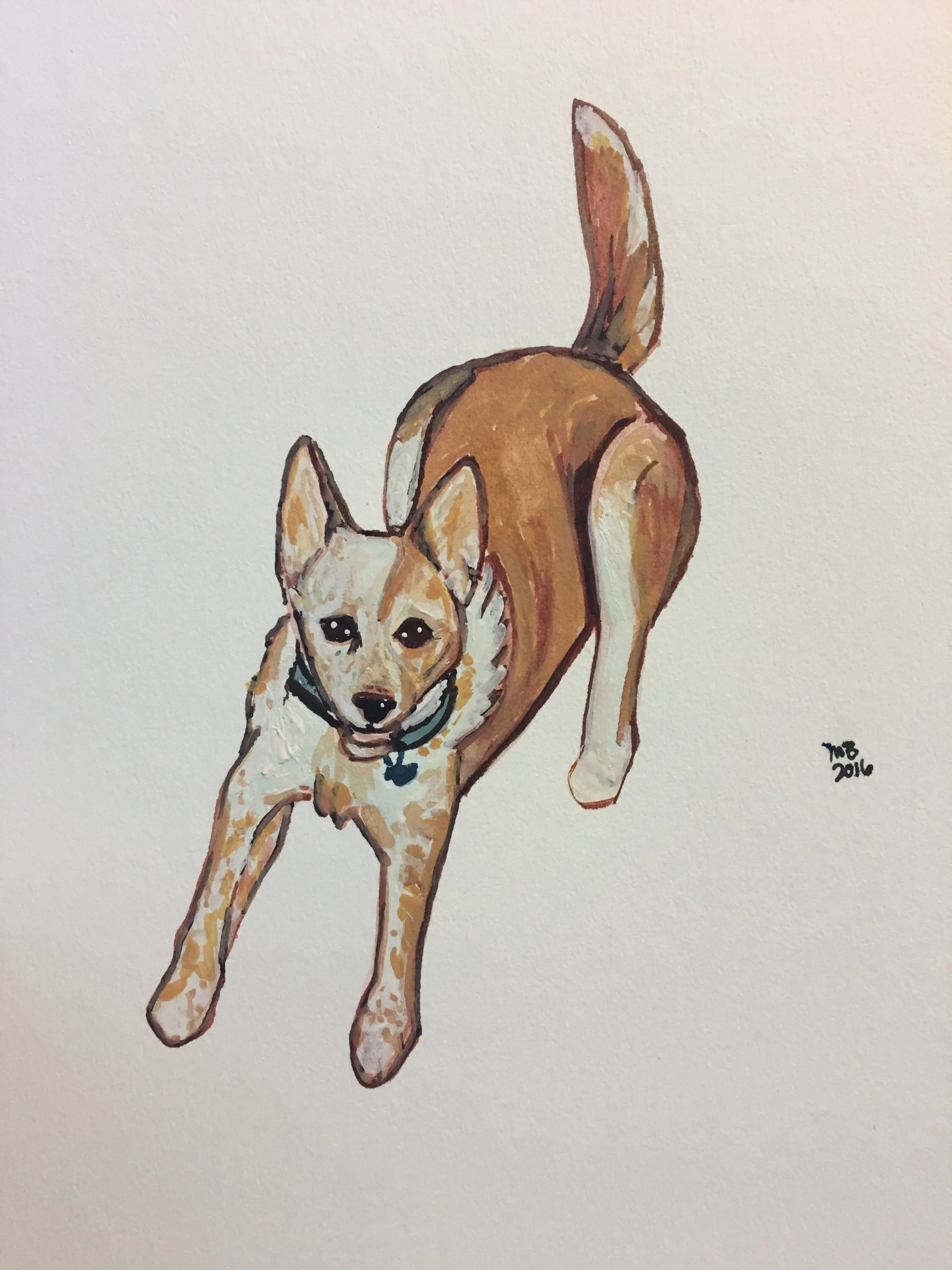 Here's Beau. He's a cutie. 
