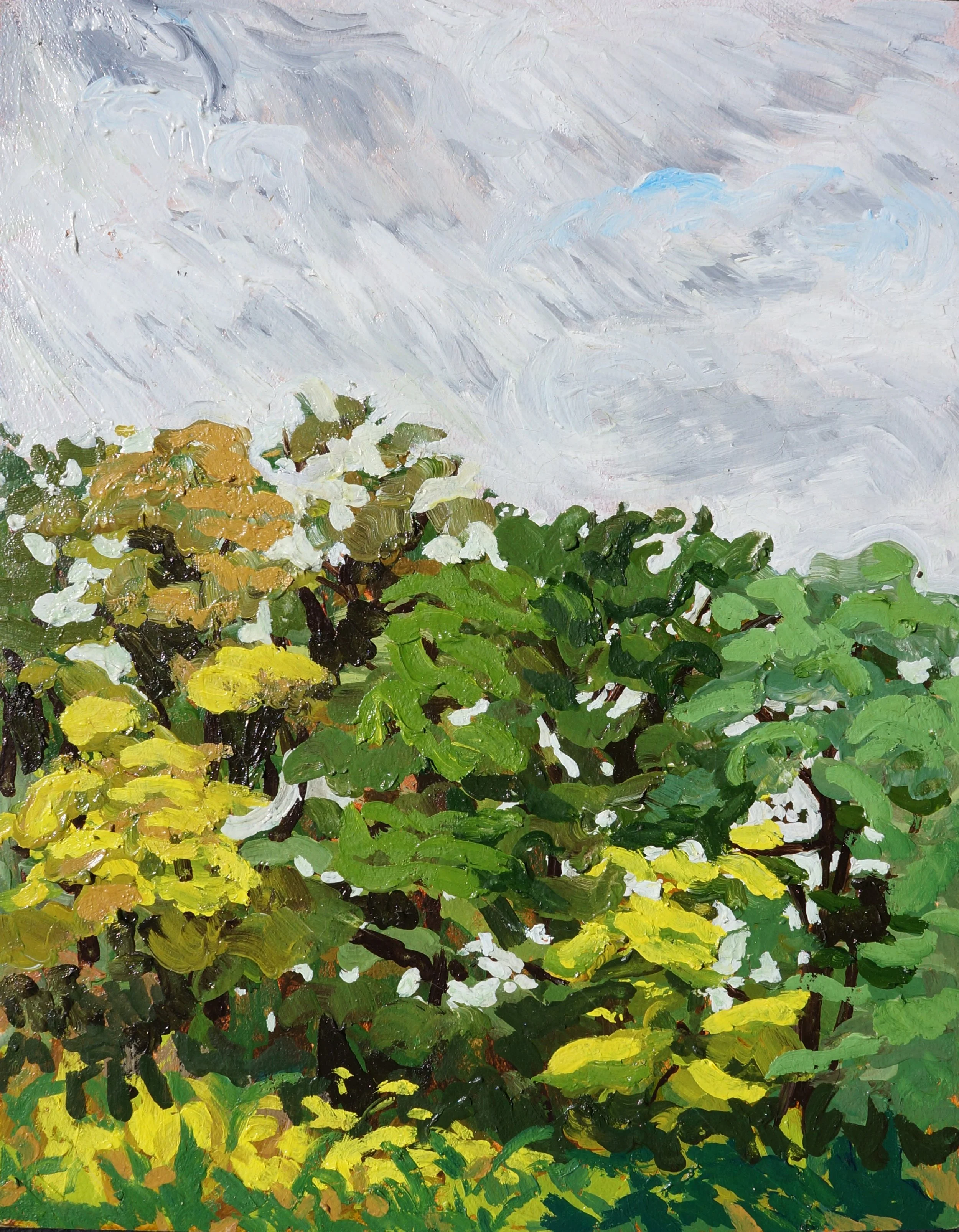 Clouds over the watershed 