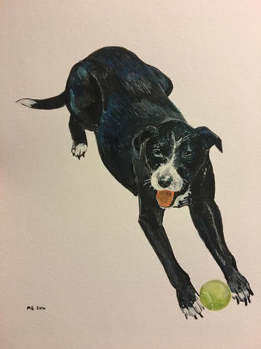 Good boy!