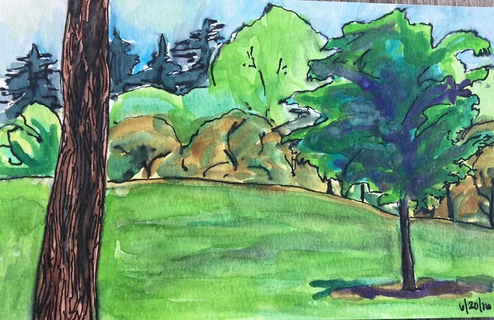 Trees and Lawn 