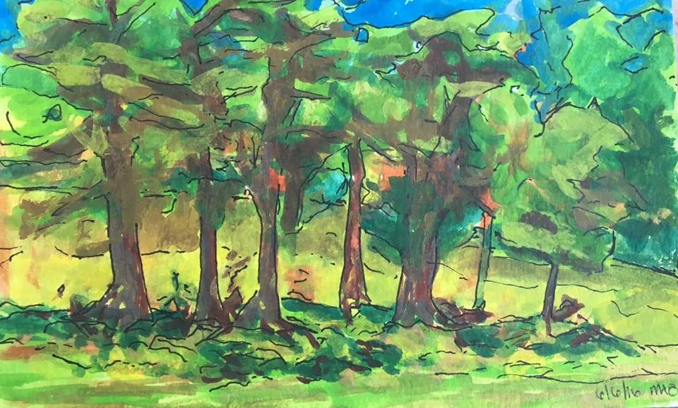 Trees by the gold course 