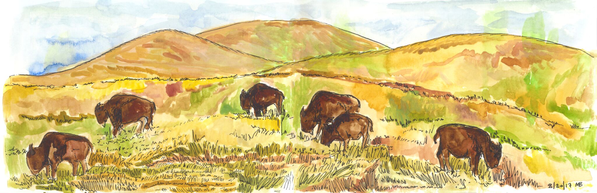 National Bison Range