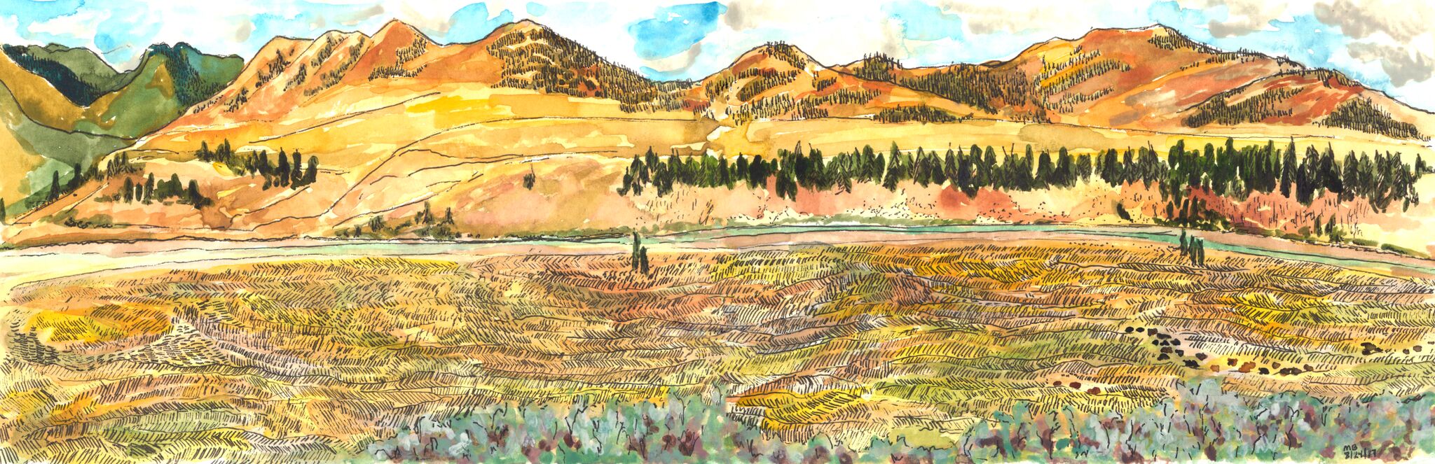 Bison in Lamar Valley
