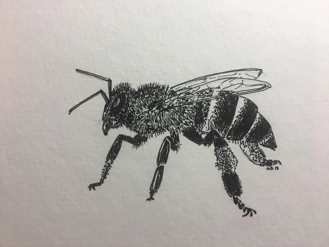 Honey Bee 