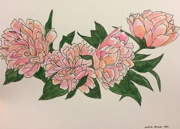 Peonies 
