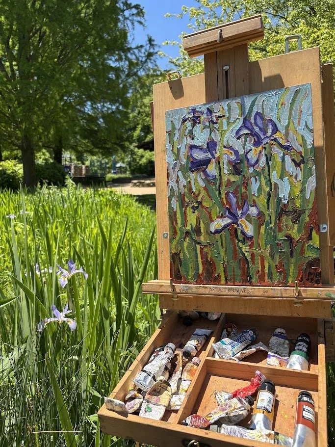 irises at Larsen Park.JPG
