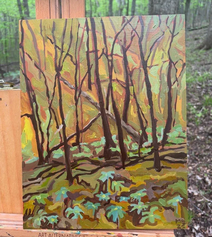 Mayapples at Robertsville State Park 