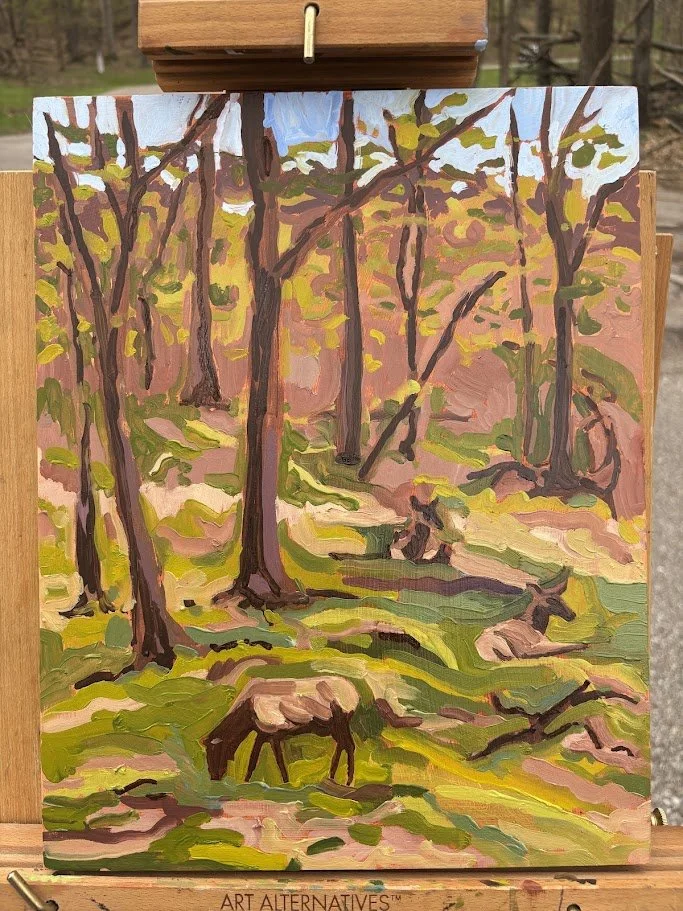 Lone Elk County Park 