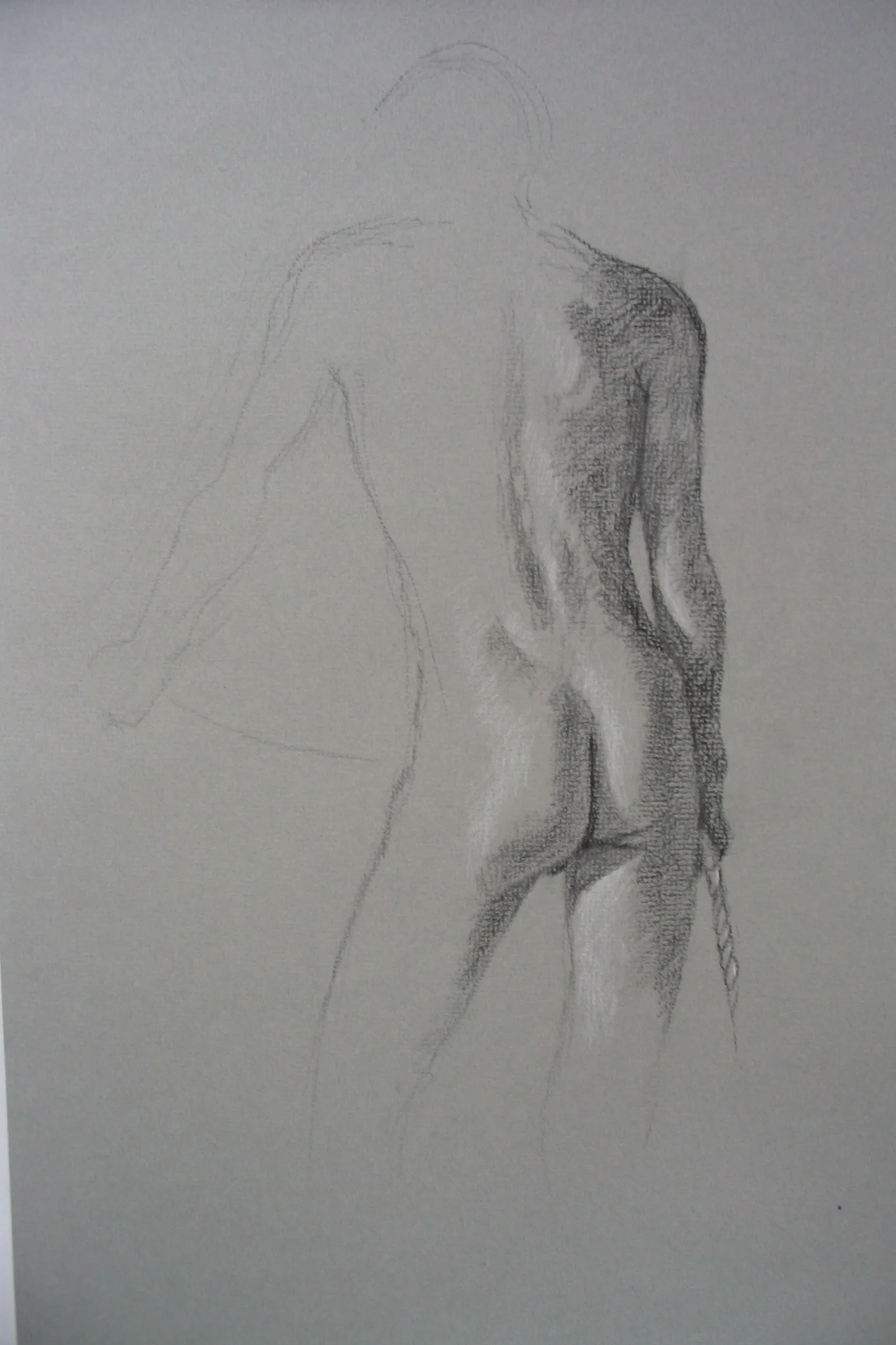 Lunsford.maleBack.JPG