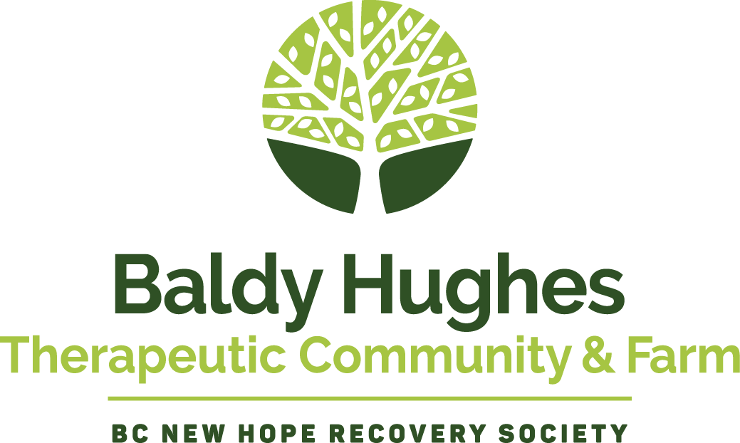 baldyhughes logo.png