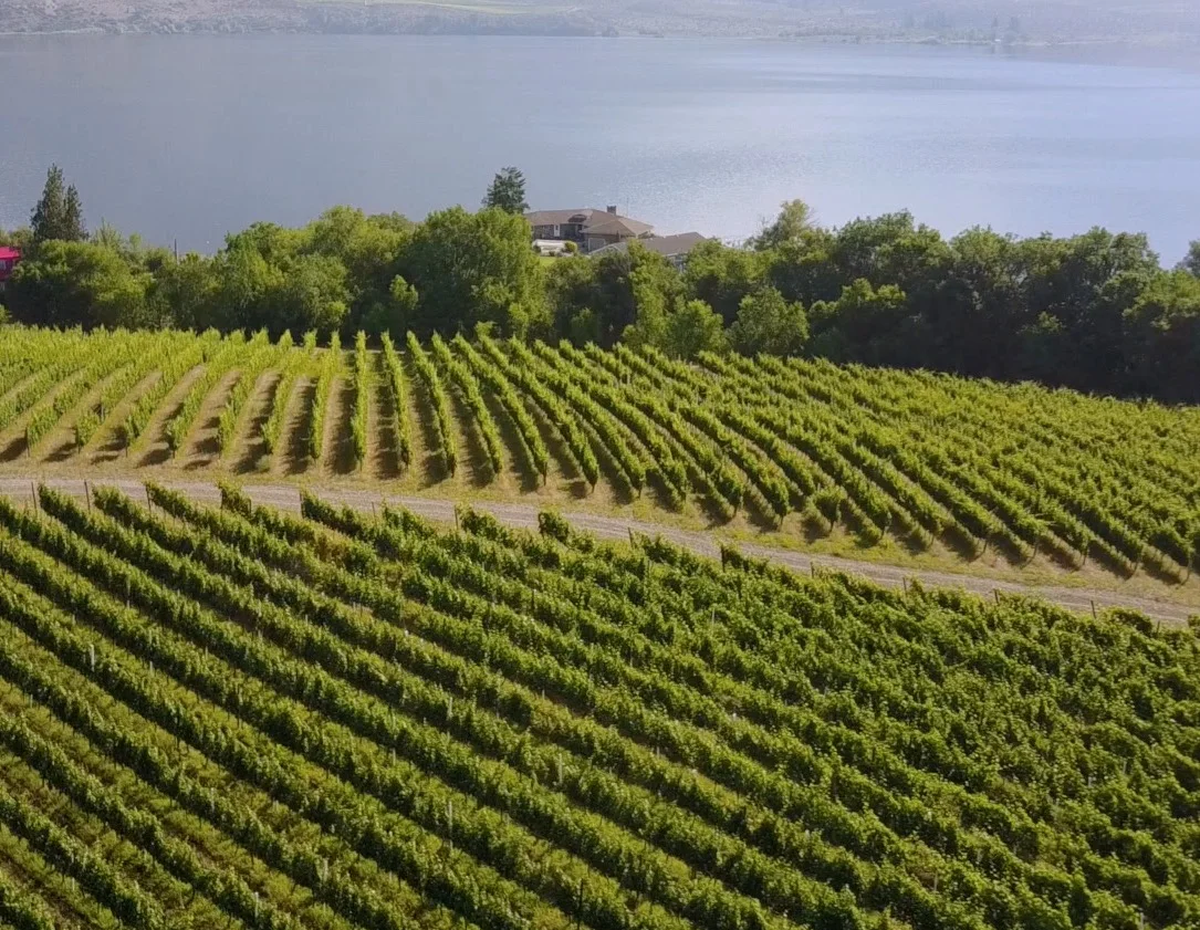 wineries