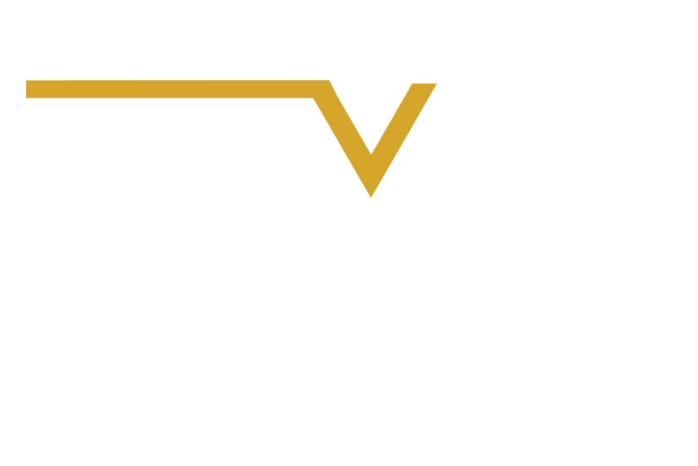 VG LOGO UPDATE-01 2018 WHITE BC.png