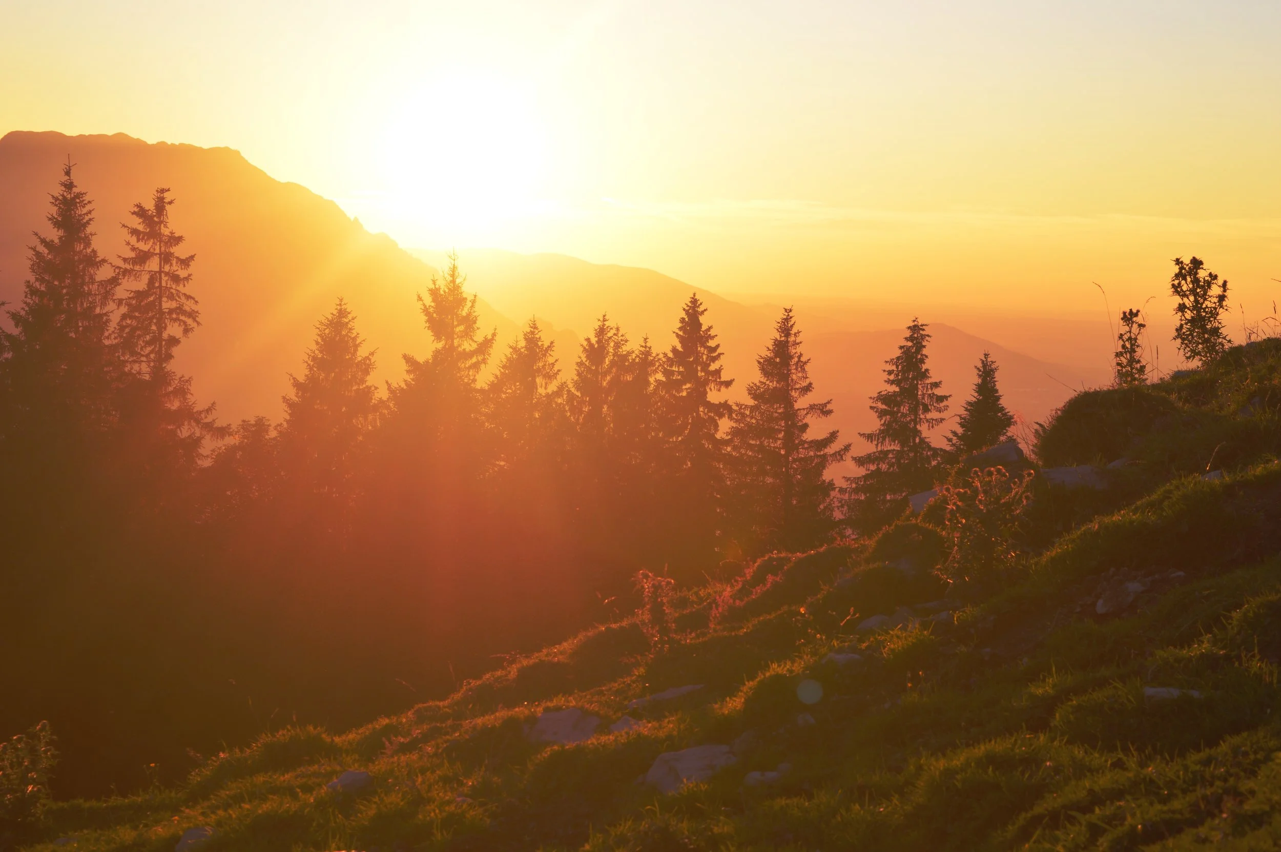 B Tabrizi Law PC family law sunrise mountains.jpeg