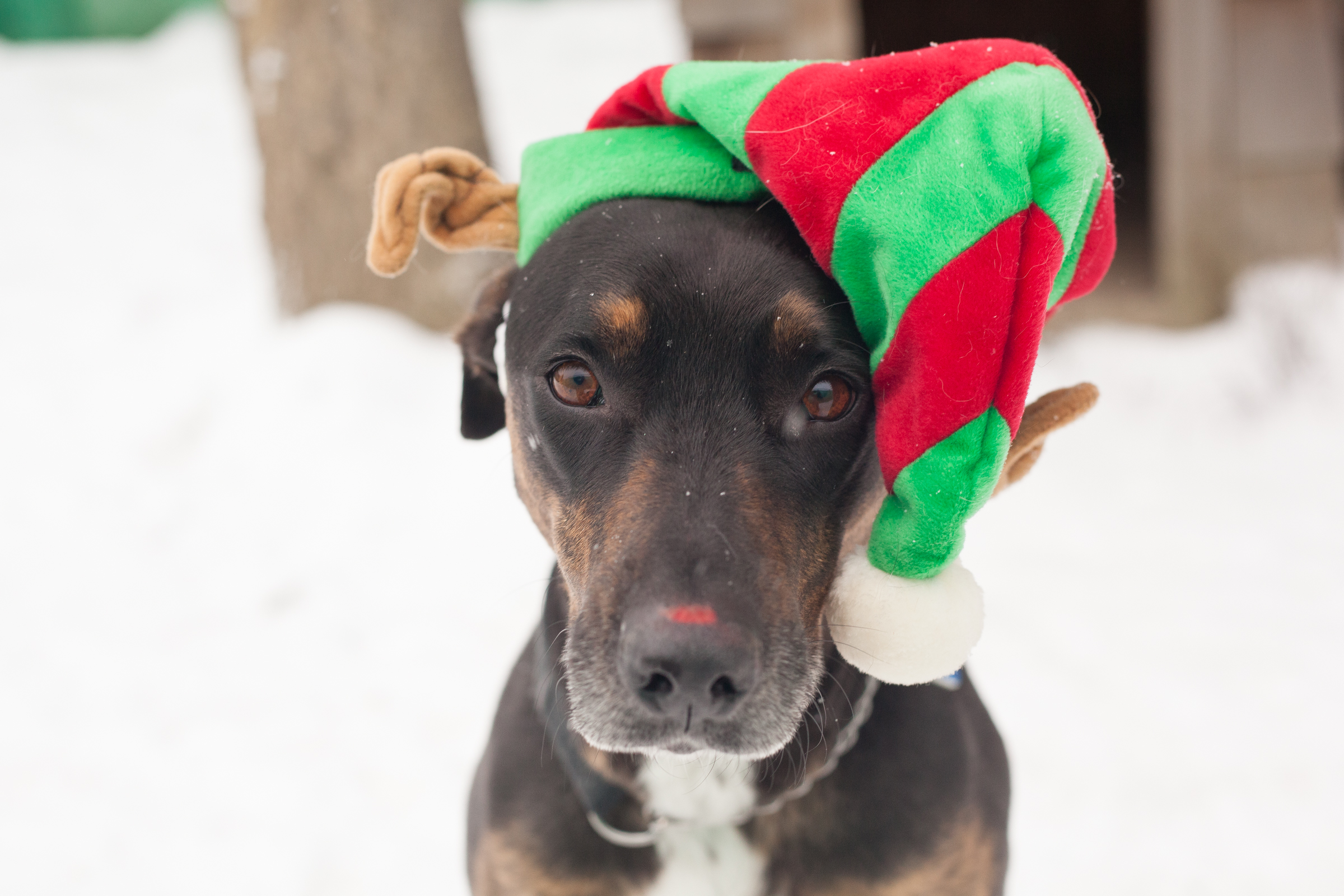 kye-xmas-amy-1.jpg