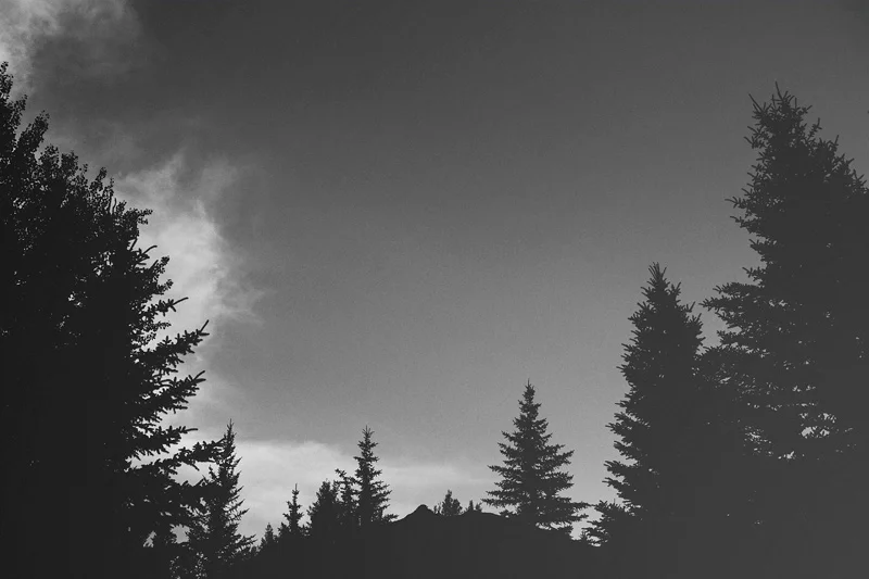 Backyard Wedding, Sun Valley, Idaho