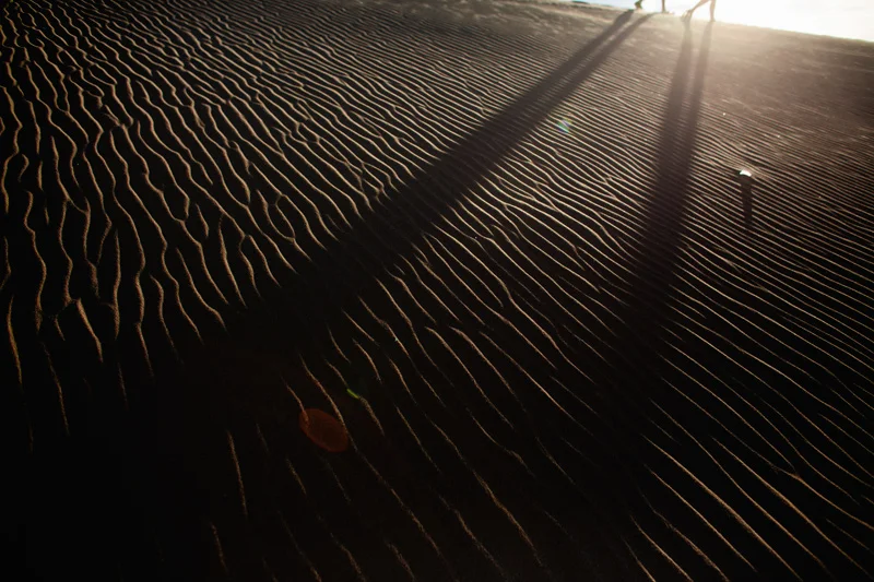 sand dune portraits