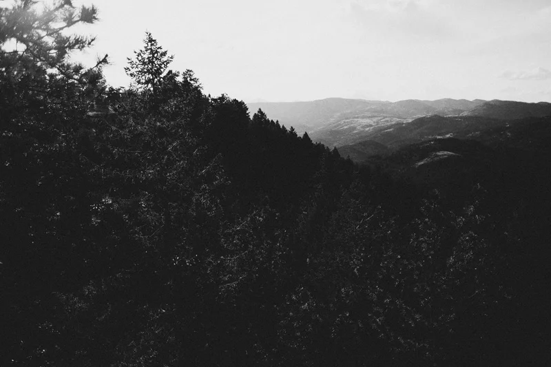 Boulder Colorado . Mountain Wedding . Shaun & Kelsey