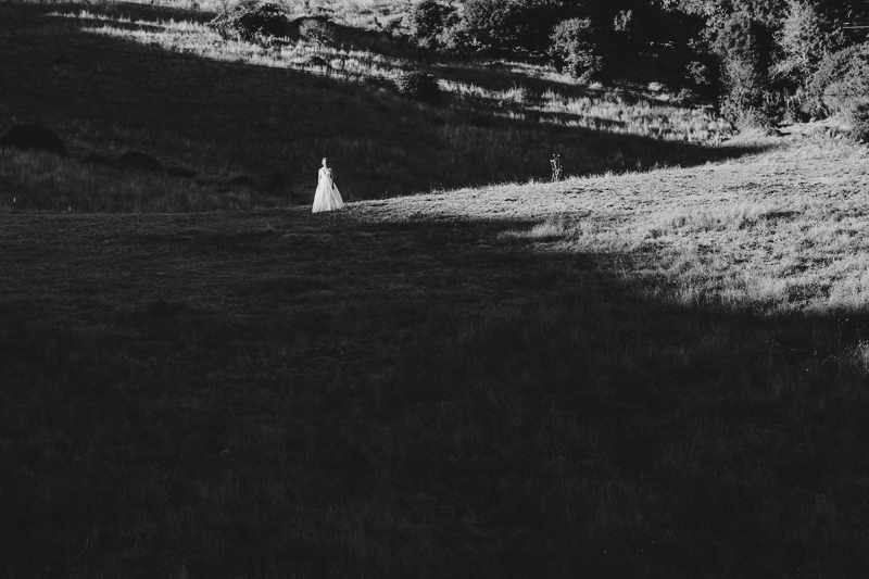 Mann Family Ranch . Bolinas, CA . Hugh Forte