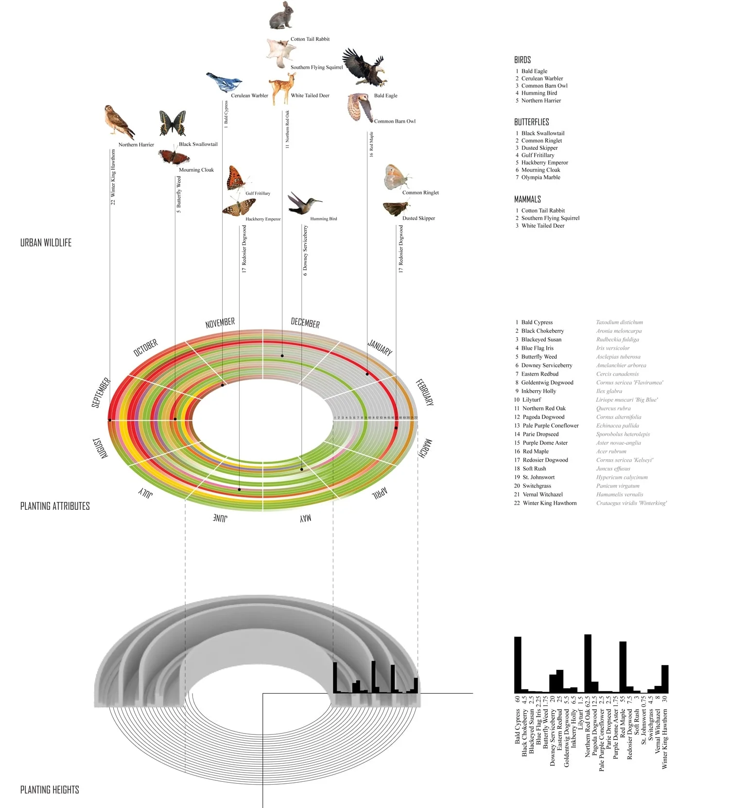 diagram.jpg