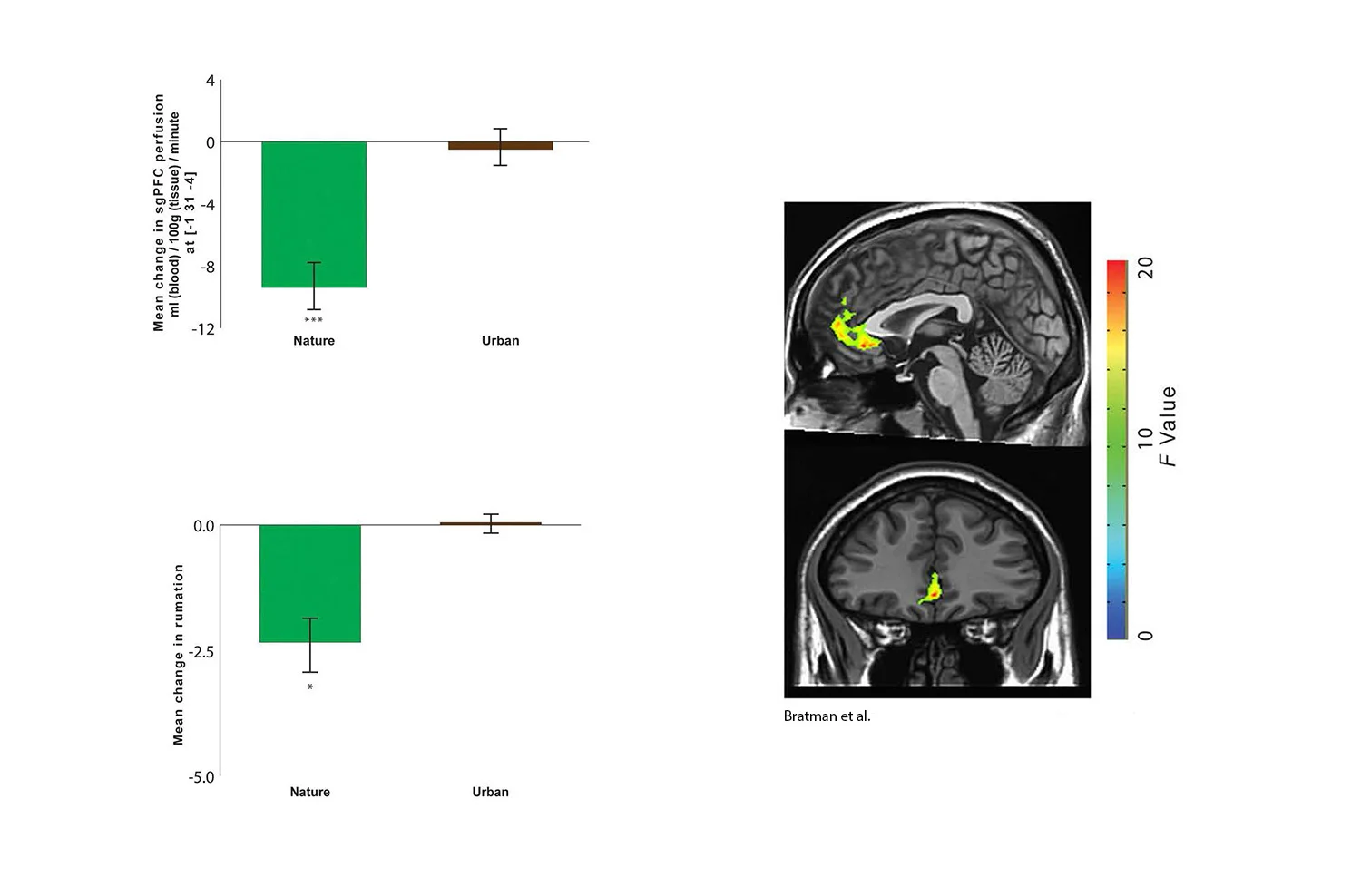 Bratman-FMRI_lres.jpg